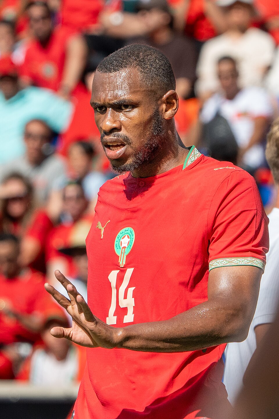 Issa Diop