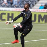 Yvon Mvogo