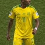 Themba Zwane