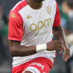Denis Zakaria